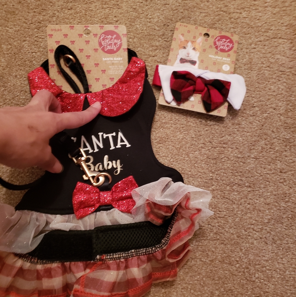 Cat dress bundle